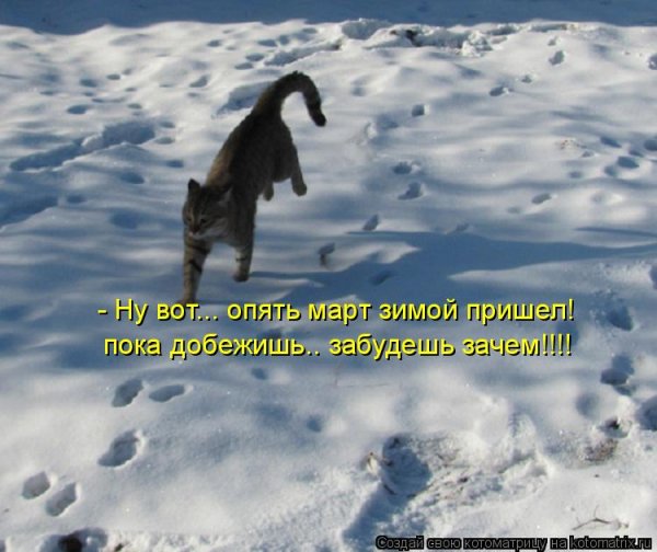 Зима вернулась в марте
