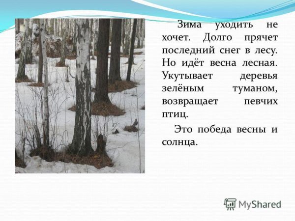 Цитаты про зиму и весну