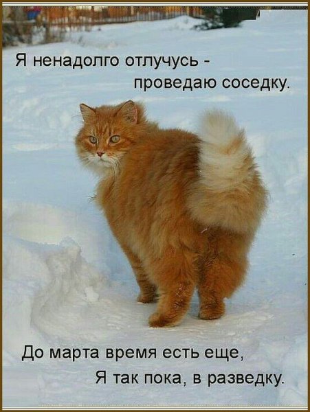 Очень жду весну приколы