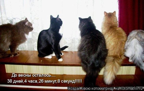Приколы про зиму и весну