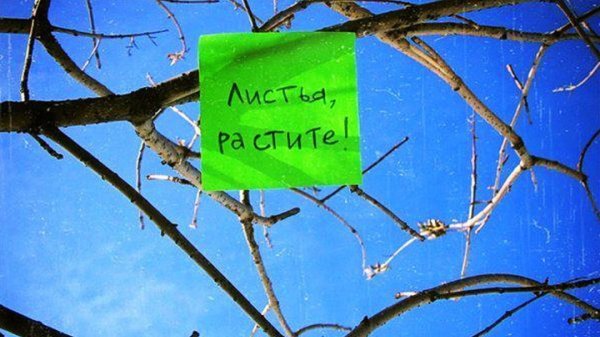 Приколы про весну