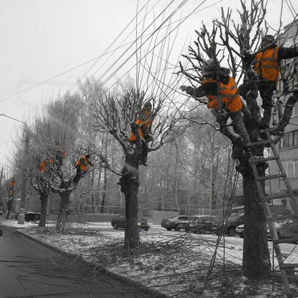 Весна Грачи прилетели и охренели