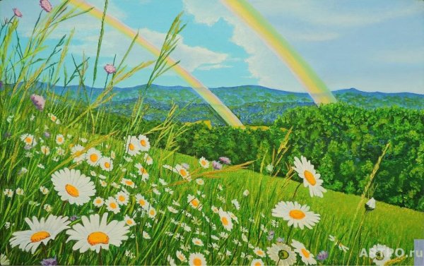 Поле ромашек и Радуга