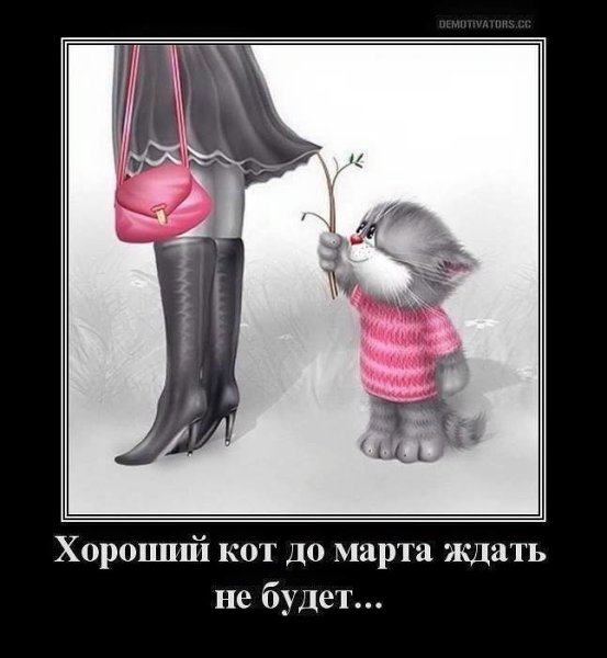 Смотрю в окно и понимаю Весна наступит