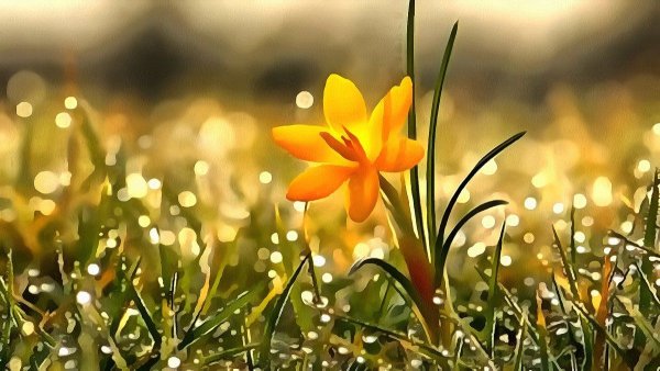 Солнечный весенний день