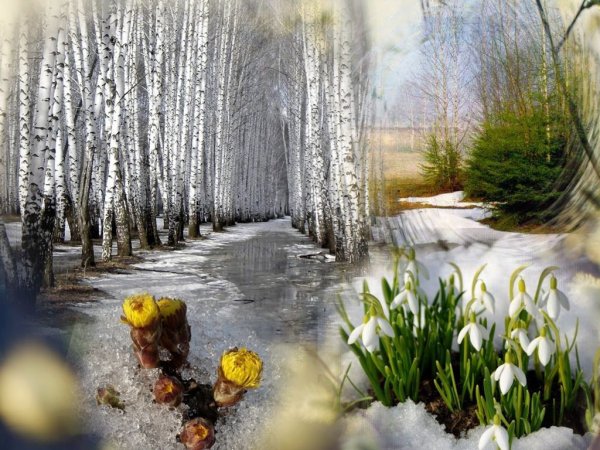 Зимняя дорога ведет к весне