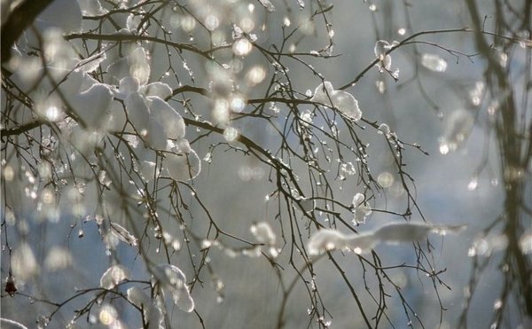 Снегопад весной