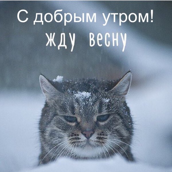 Скоро Весна скоро