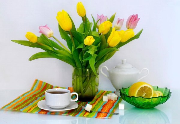 Чайные тюльпаны