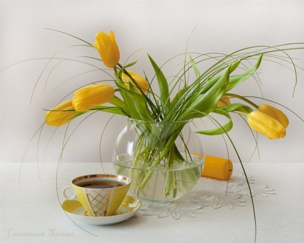 Добрый день и тюльпаны