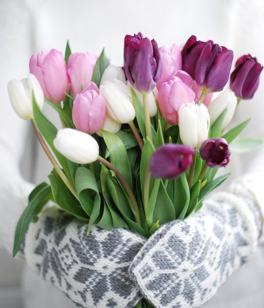 Доброе утро и букет тульпан