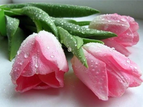 Открытки с добрым утром и хорошим настроением