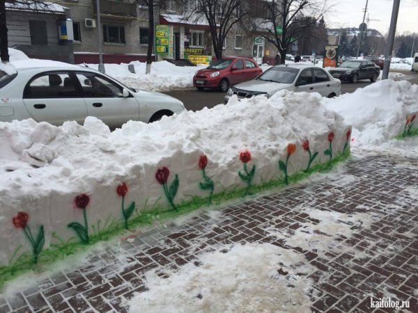 Первый снег юмор