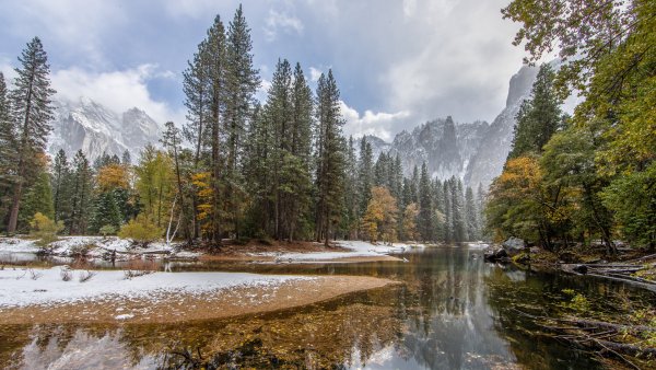 Лесной пейзаж