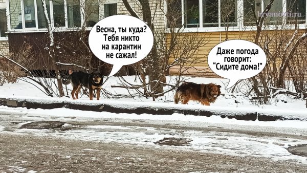 Отцвела третий раз снег выпал до весны