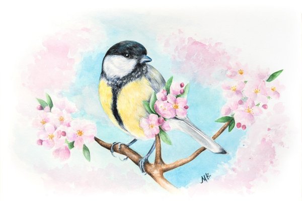 Рисунки весны для срисовки