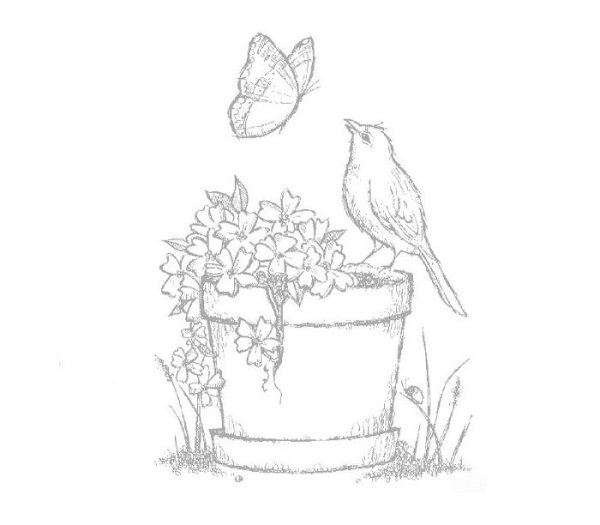 Подснежник рисунок карандашом