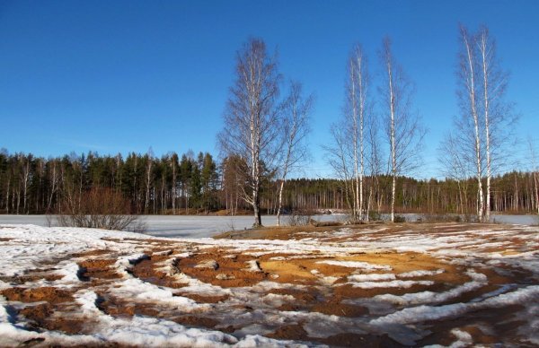 Весна тает снег