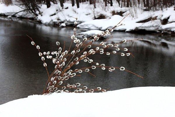Март таяние снега