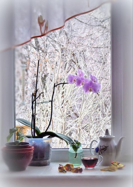 Весна снег