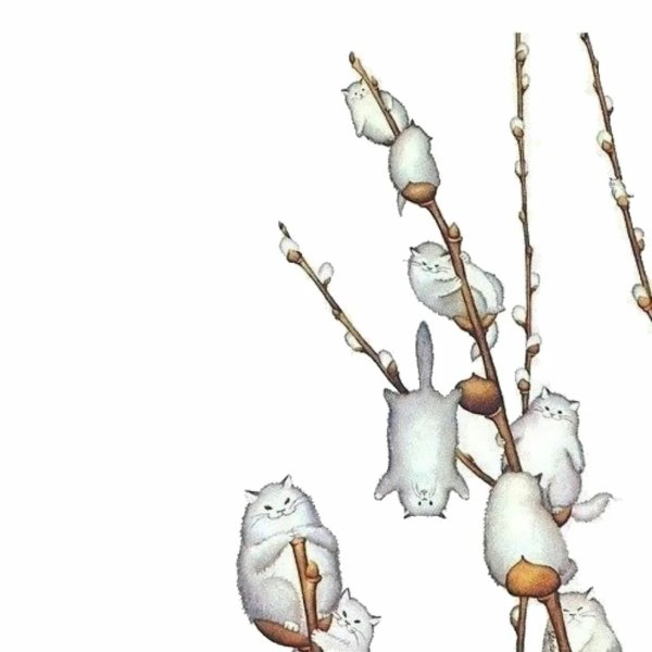 Рина Зенюк птицелюб