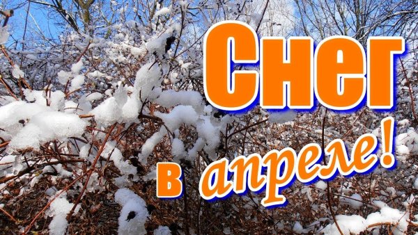 Зима в апреле прикольные