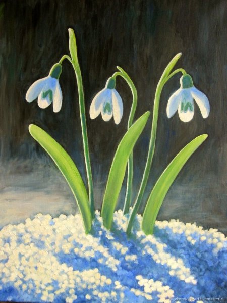 Терра Фьорри подснежники