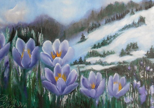 Курундаков подснежники