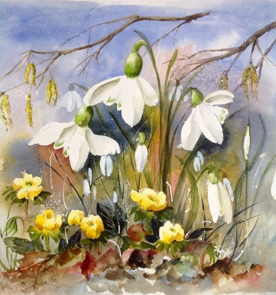 Ботаническая живопись пролески акварелью