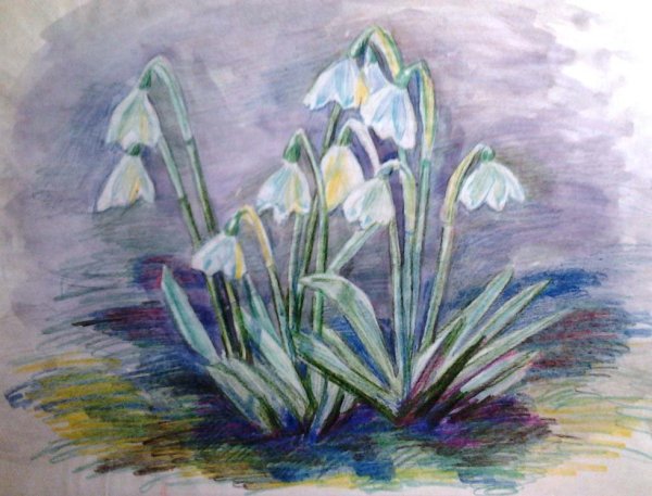 Рисование первых весенних цветов