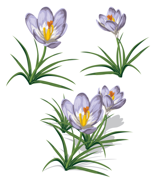 Подснежники мультяшные