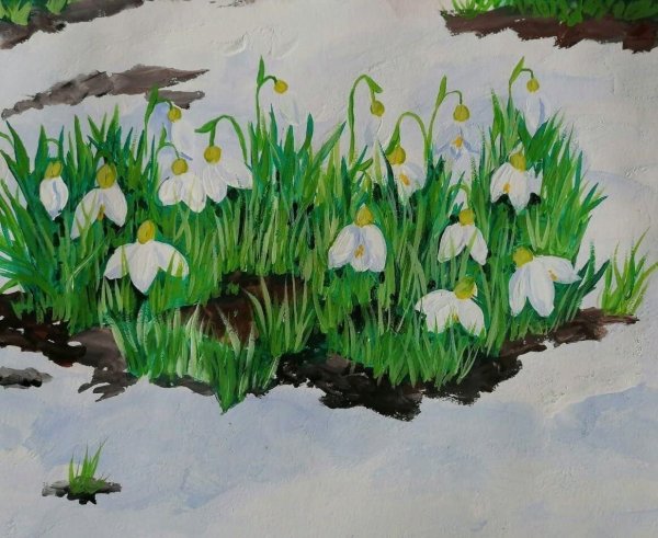 Курундаков подснежники