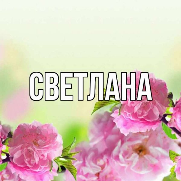 Цветок имени Светлана