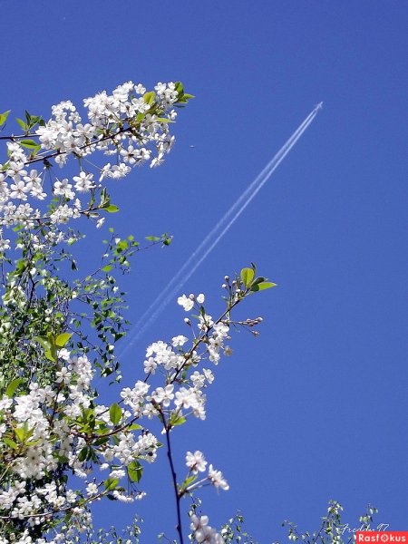 Небо весной