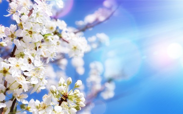 Майский фон