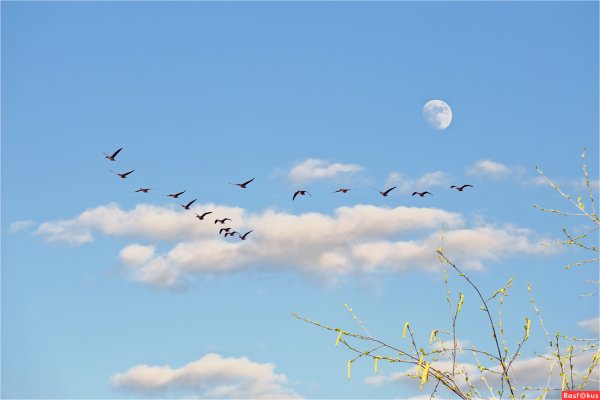 Весеннее Майское небо