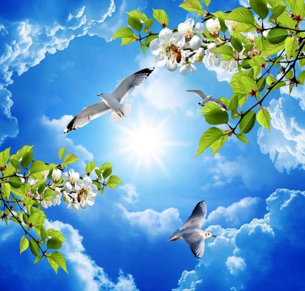 Весеннее небо с птицами