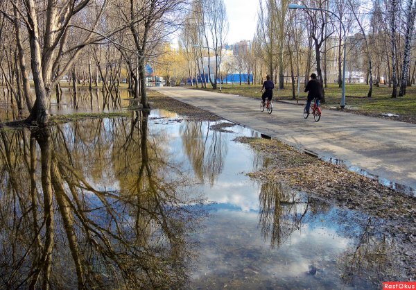Весенний город отражение