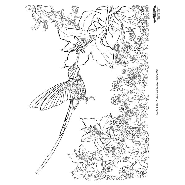 Трафареты птиц для выжигания по дереву