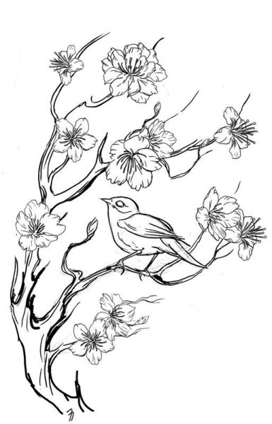 Весенний пейзаж карандашом