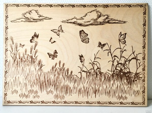 Растение первоцвет весенний черно белая