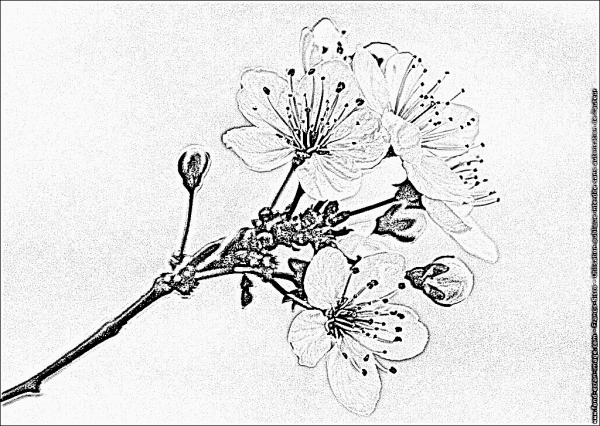 Композиции для выжигания по дереву