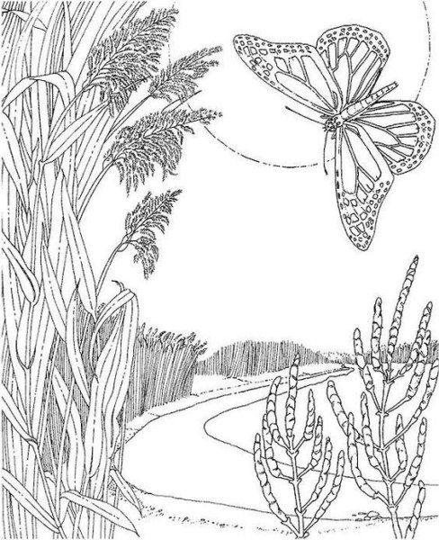 Раскраска Весенняя природа для детей