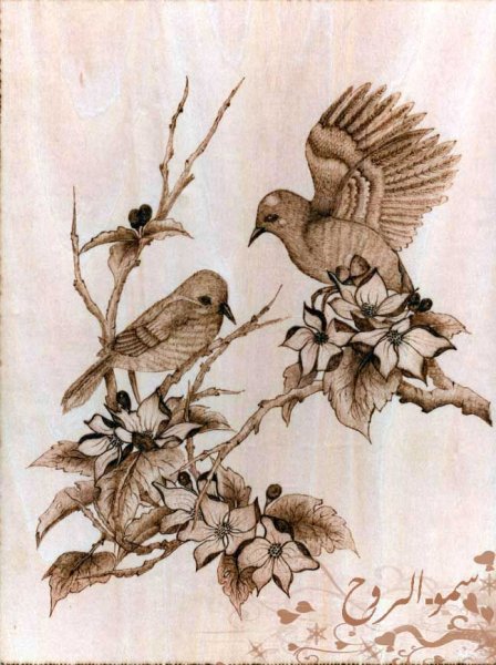 Цветущая яблоня раскраска