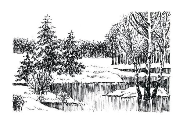 Раскраска природа для детей