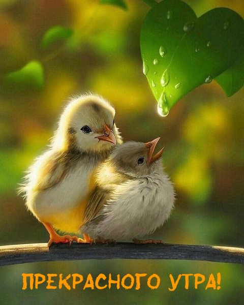 Позитивные цитаты