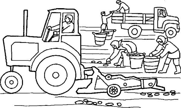 Огород раскраска для детей