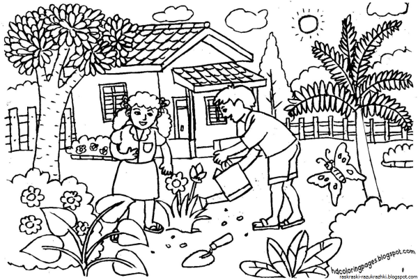 Раскраска. В огороде