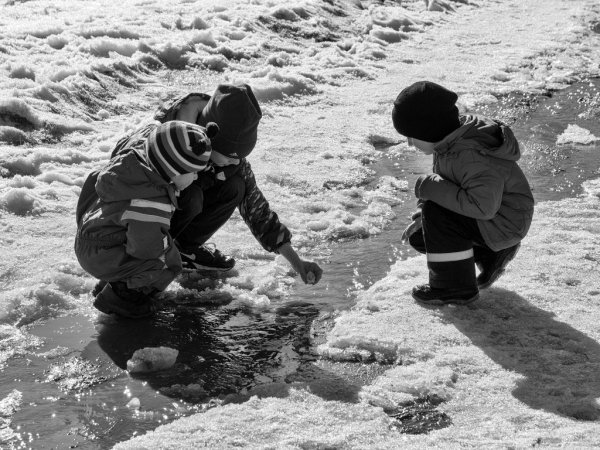 Вырубные плакаты для детского сада