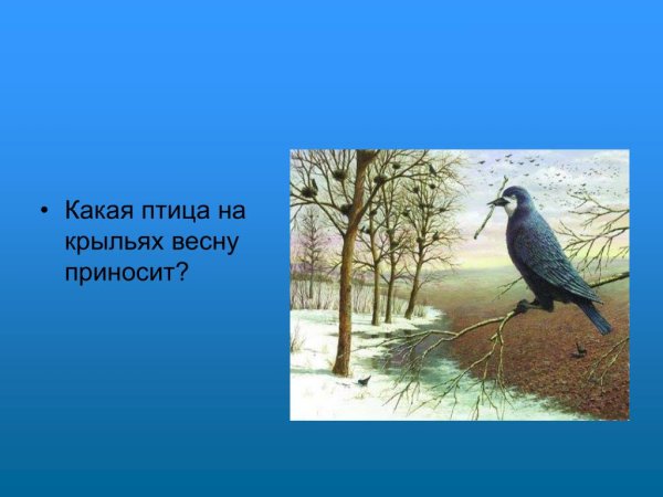 Птицы весну принесли